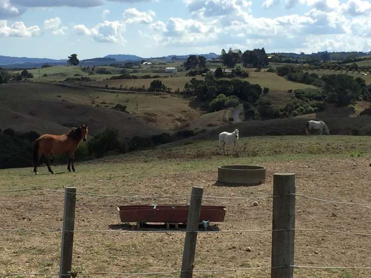 1798 Chapman Road Pukekawa_8