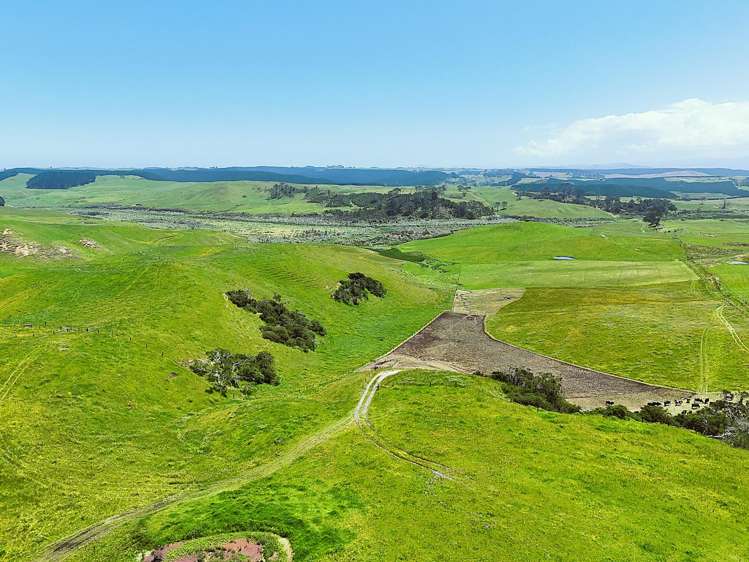 Lot Lot 2 Scottys Camp Road Dargaville_6