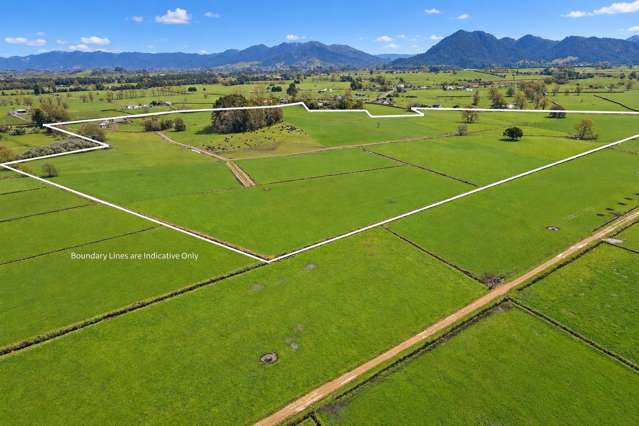 291 Waring Road Taupiri_2