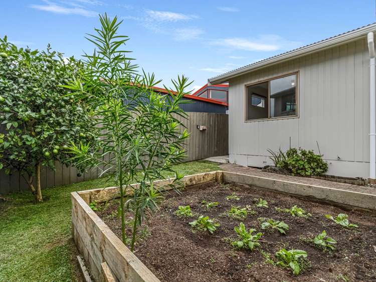 185 Harbour Road Ohope_32