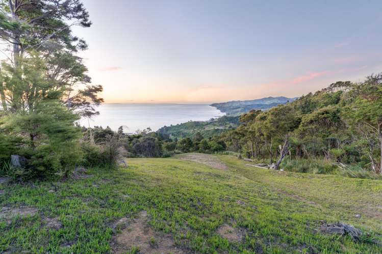 98 Tapu Rise Heights Tapu_11