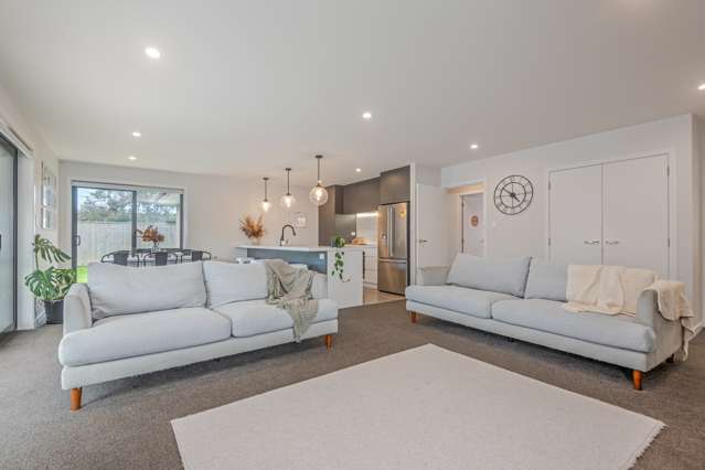 11 Monarch Drive Ashhurst_3