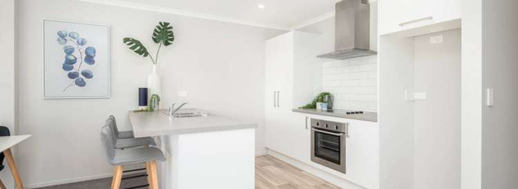 15 Peet Row Pvt Pokeno_5