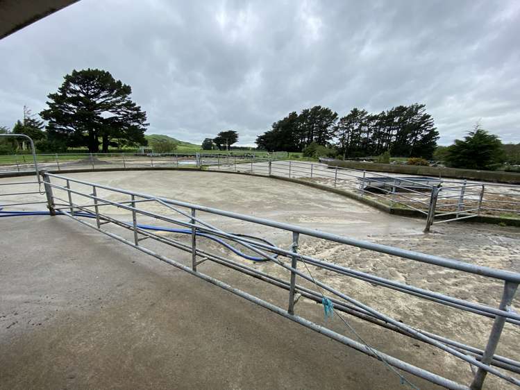 339 Mangaroa Road Eketahuna_15