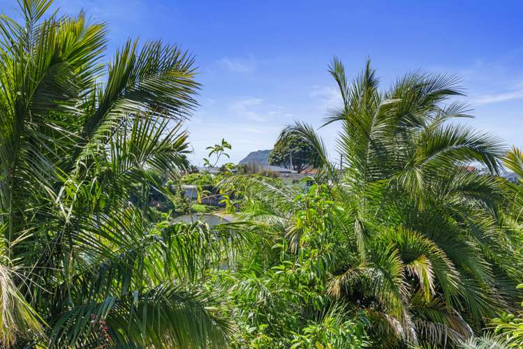 96b Freyberg Street Otumoetai_16