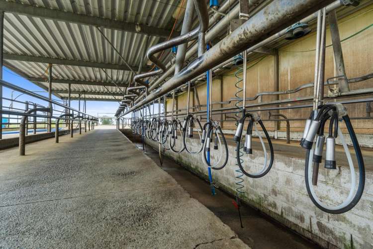 51a Waverley Road Gordonton_9