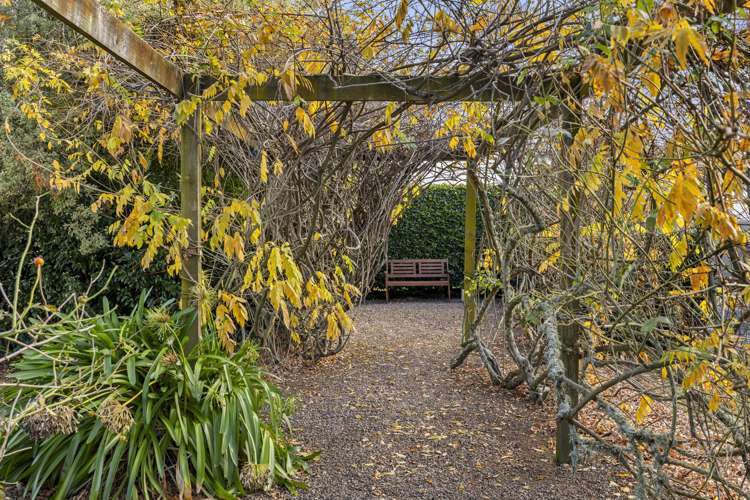 46 Glen Ida Way Tauwhare_35