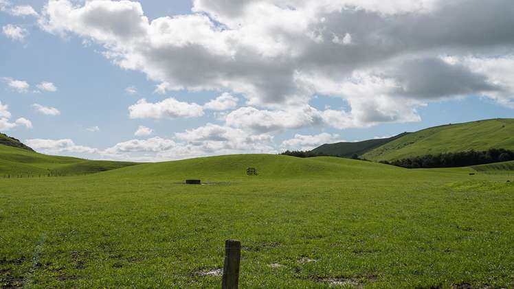 913 Whirinaki Valley Road Ngakuru_17