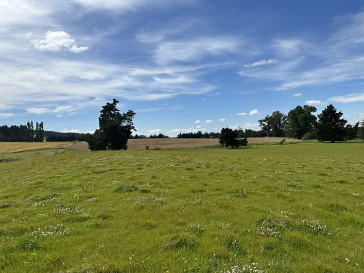 342 Catherwoods Road Cust_7