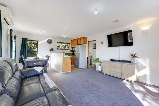 29A Brunner Street Nelson South_2