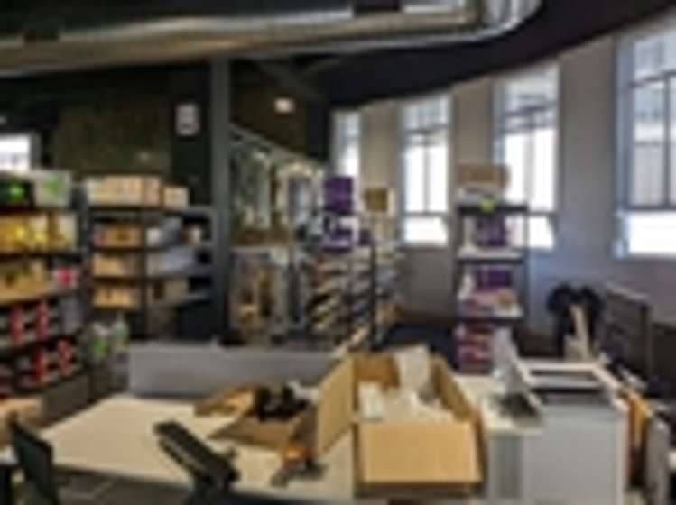 10 Andrews Avenue Lower Hutt Central_3