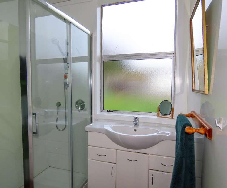 34 Upper Buller Gorge Reefton_7