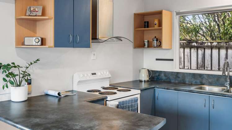 11B Albert Street Pukekohe_1