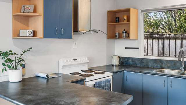 11B Albert Street Pukekohe_2