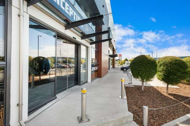 65 Blenheim Road Addington_3