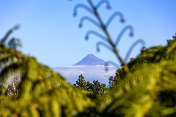 418 Kaipikari Road Urenui_19