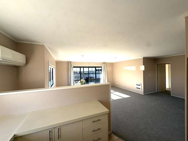 111a Avondale Road Greenmeadows_4