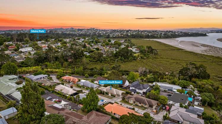 169j Colwill Road Massey_22