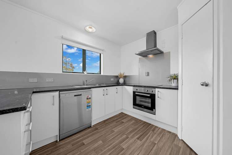51 Helvetia Road Pukekohe_5