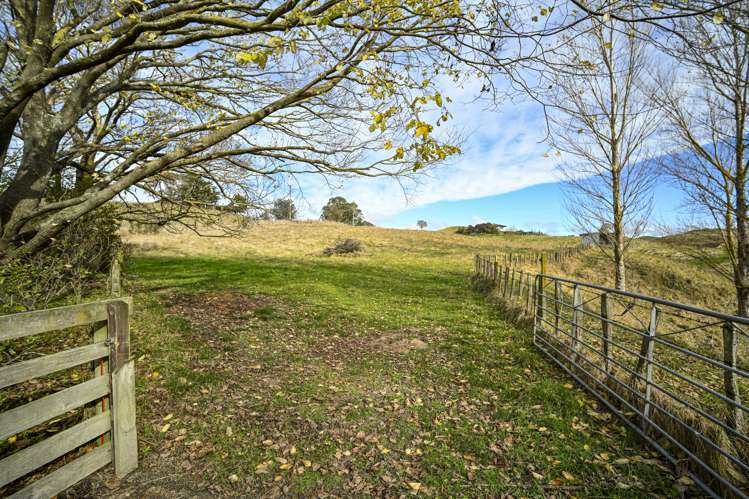 376 Salisbury Road Maraekakaho_16