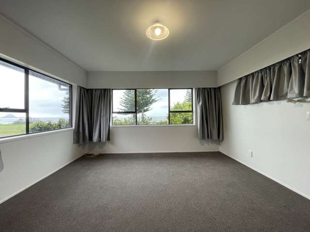 182 Ocean Road Ohope_3