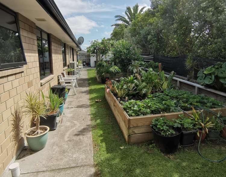 17 Roto View One Tree Point_8