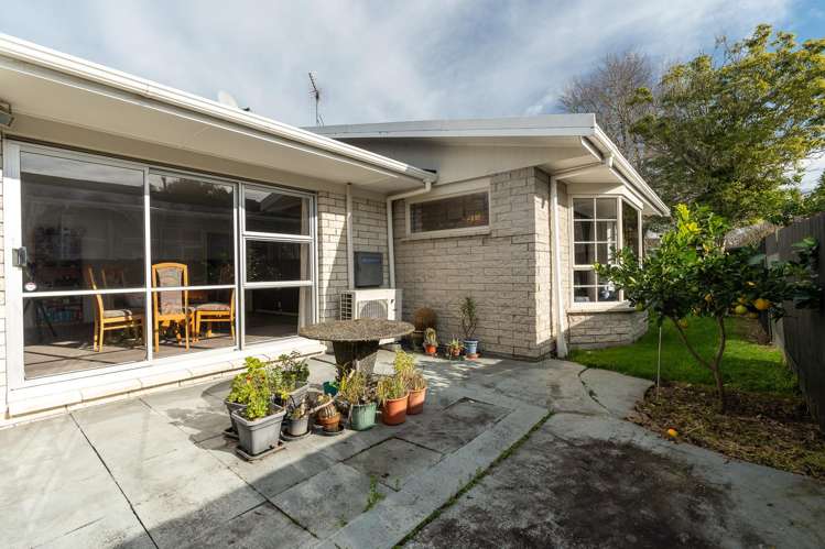 35 Alison Street Hamilton Lake_18