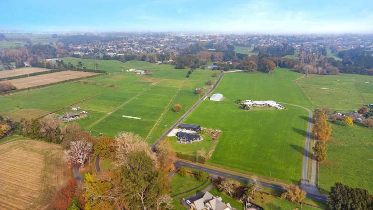 81D Horrell Road Morrinsville_25