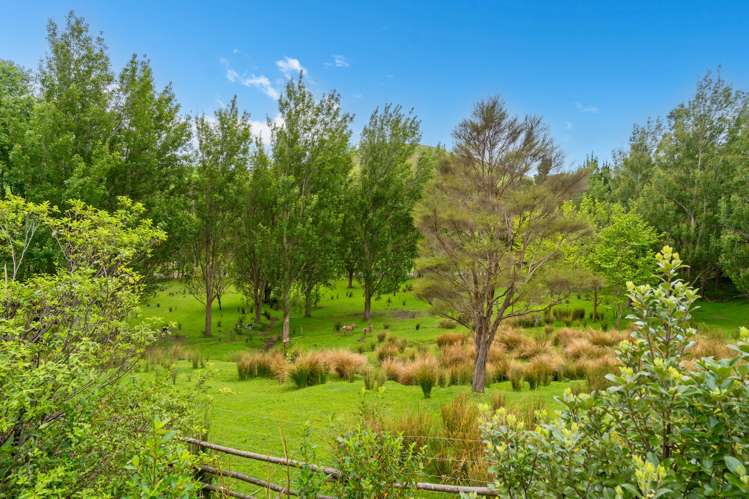 1321 Pack Spur Road Mataikona_34