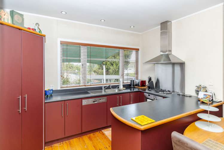 115 Pembroke Street Hamilton Lake_12