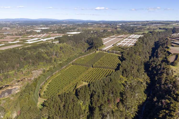 852 Rangiuru Road Rangiuru_16
