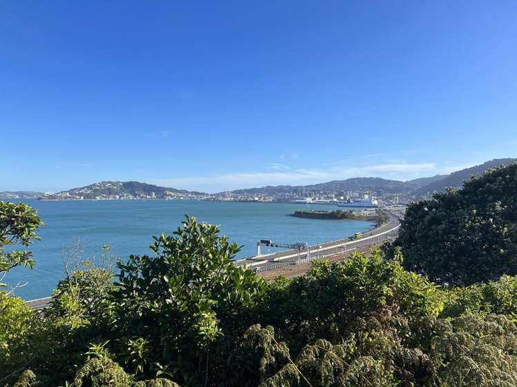 6 Rangiora Avenue Kaiwharawhara_9