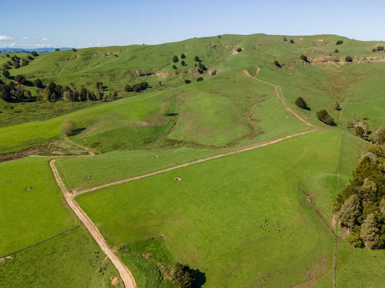 246 Allen And Eyre Road Onewhero_12