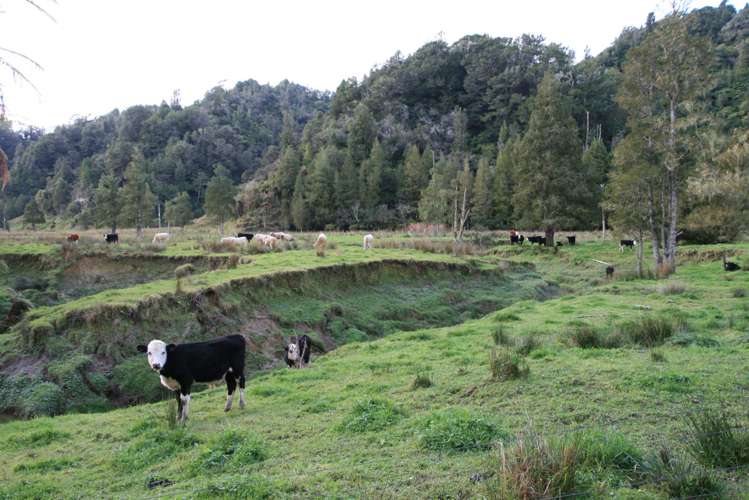 0n Mangaonga Road Ahititi_4