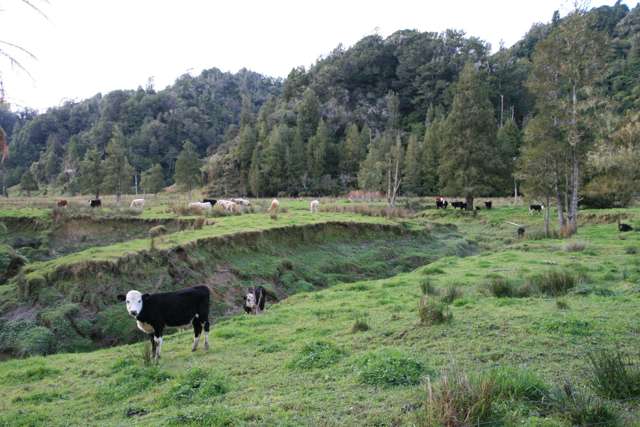 0n Mangaonga Road Ahititi_4