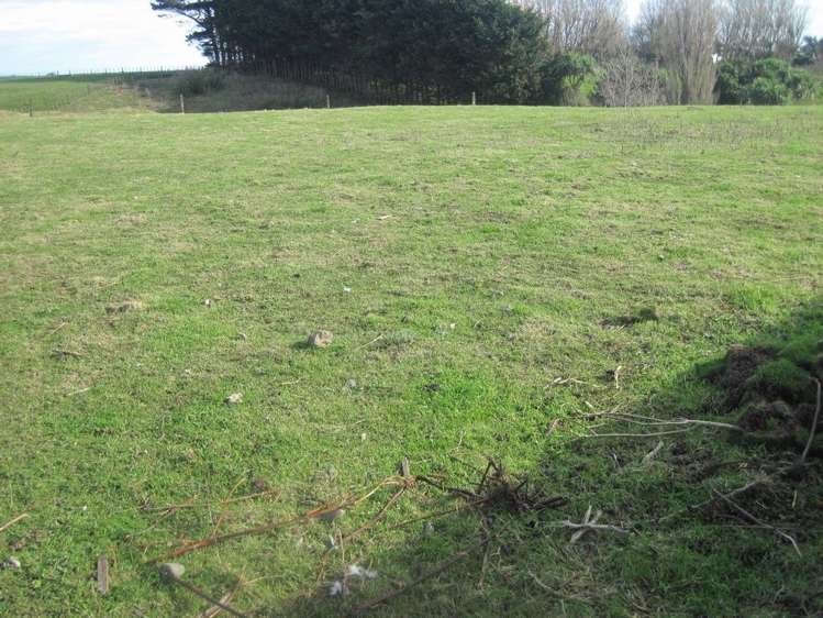 307 Glover Road Hawera_4