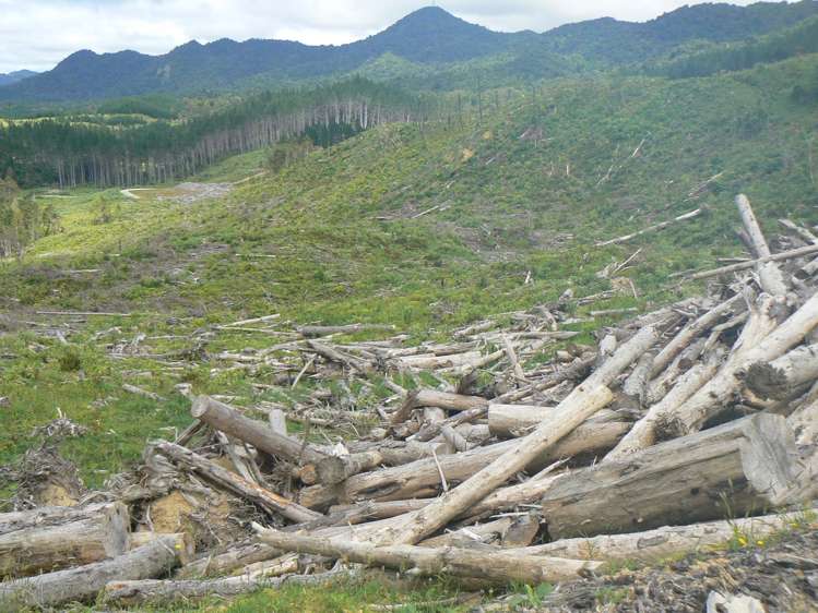 Lot 65 Stoney Creek Road Mangamuka_19