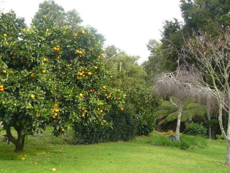 340 Otewa Road Otorohanga_10