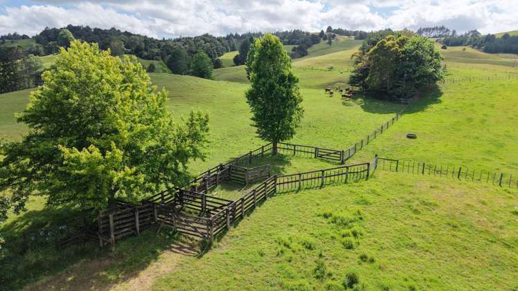 6760 State Highway 1 Pakaraka_18