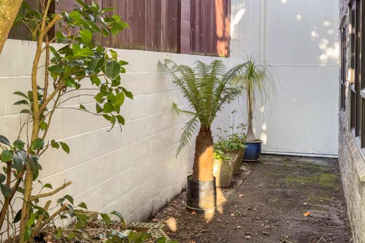 28 Henley Road Mount Eden_9