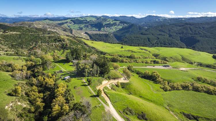 888 Kakariki Farm Road Kotemaori_20