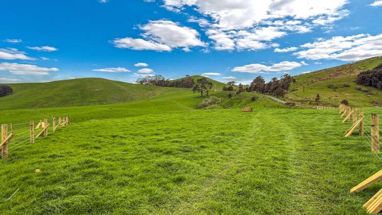 288 Dimmock Road Maramarua_14