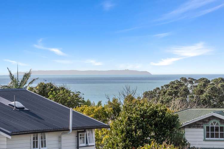8A Ewen Street_0
