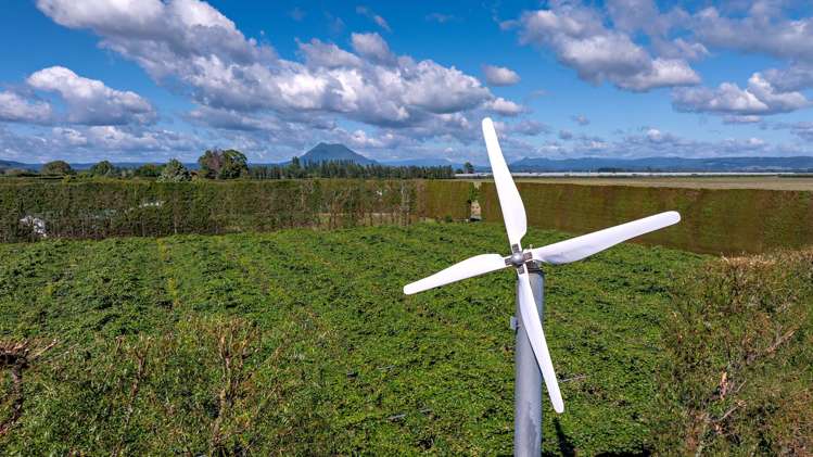 469 Western Drain Road Edgecumbe_17