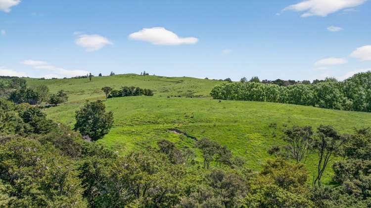 136 Ranganui Road Kaiwaka_13