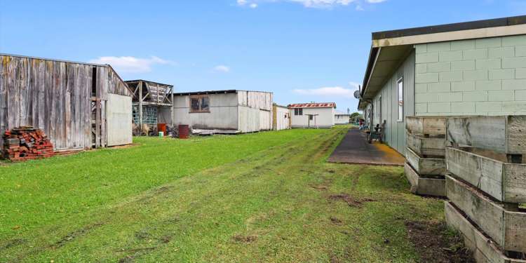 1a George Street Te Kuiti_19