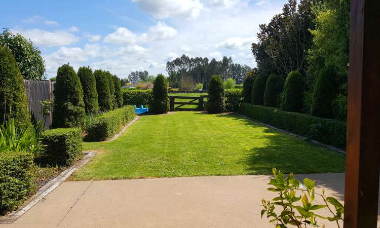 63 Taplin Road Matangi_18