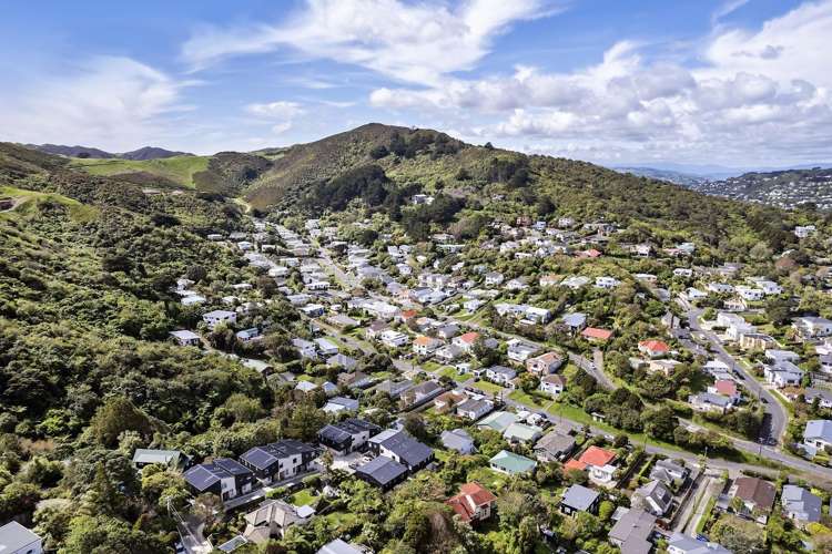 14 Ara Toutouwai Karori_19