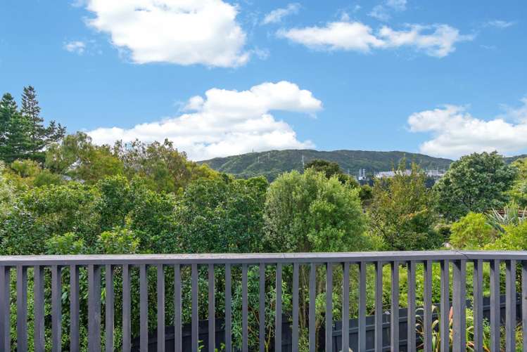 27 Kingsley Street Stokes Valley_17