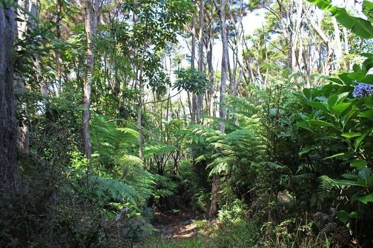 248 Rosalie Bay Road Great Barrier Island (Aotea Island)_12